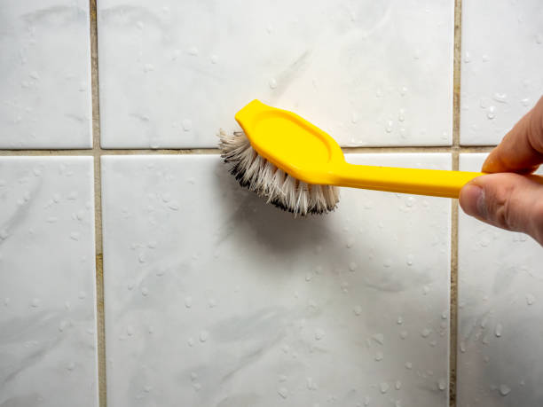 Best Best Mold Removal Companies  in Buena Vista, CO