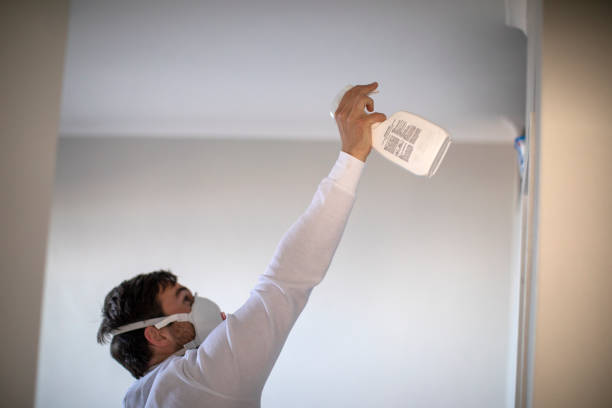Mold Removal Process in Buena Vista, CO