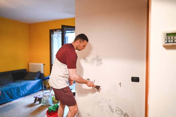 Best Black Mold Removal  in Buena Vista, CO